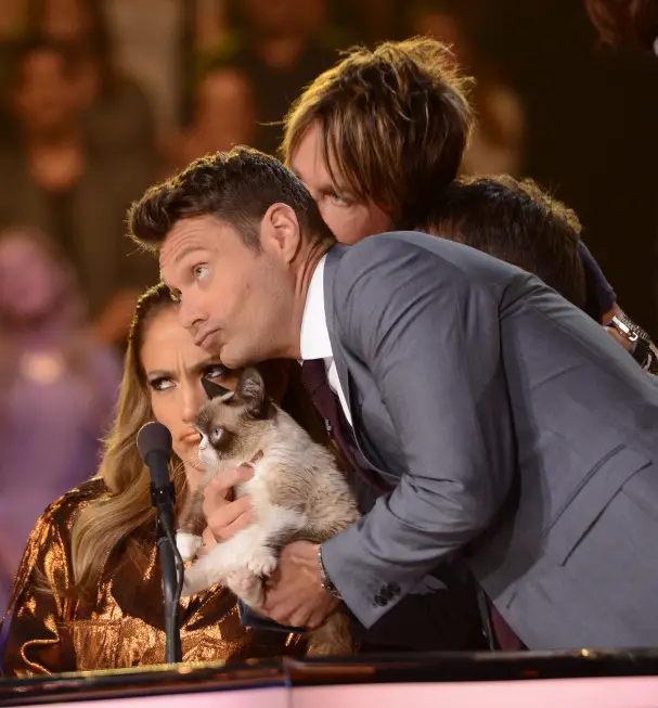 AMERICAN IDOL XIII: "Grumpy Cat" with Ryan Seactrest and the Judges on AMERICAN IDOL XIII airing Wednesday, April 23 (8:00-10:00 PM ET / PT) on FOX.  CR: Michael Becker / FOX. Copyright 2014 / FOX Broadcasting.