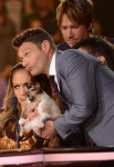 AMERICAN IDOL XIII: "Grumpy Cat" with Ryan Seactrest and the Judges on AMERICAN IDOL XIII airing Wednesday, April 23 (8:00-10:00 PM ET / PT) on FOX. CR: Michael Becker / FOX. Copyright 2014 / FOX Broadcasting.