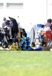glee-310-bts-2