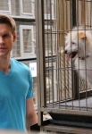 GLEE: Sam (Chord Overstreet) wants to rescue a dog at an animal shelter in the "Old Dog New Tricks" episode of GLEE airing Tuesday, May 6 (8:00-9:00 PM ET/PT) on FOX. ©2014 Fox Broadcasting Co. CR: Tyler Golden/FOX