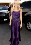 arrives at the 46th Annual Academy Of Country Music Awards RAM Red Carpet held at the MGM Grand Garden Arena on April 3, 2011 in Las Vegas, Nevada.