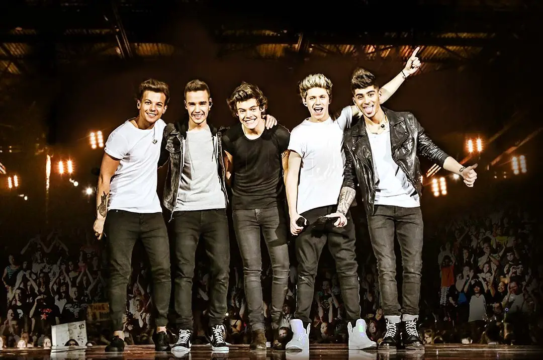 One Direction Announce 2014 'Where We Are' Stadium Tour ...