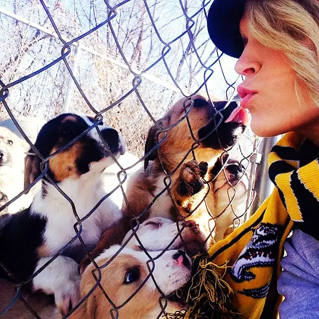 carrieunderwood-puppies2
