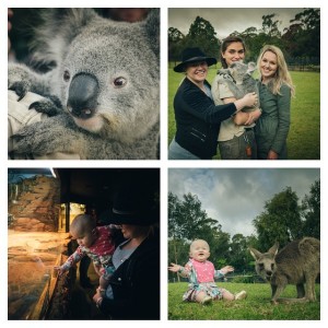 kellyclarkson-zoo-australia-1