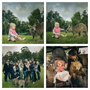 kellyclarkson-zoo-australia-2