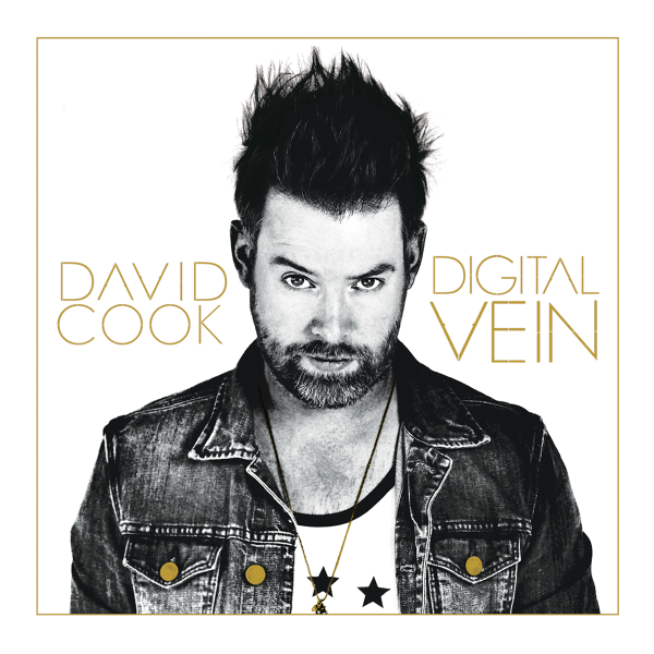 davidcook-digitalvein-albumcover