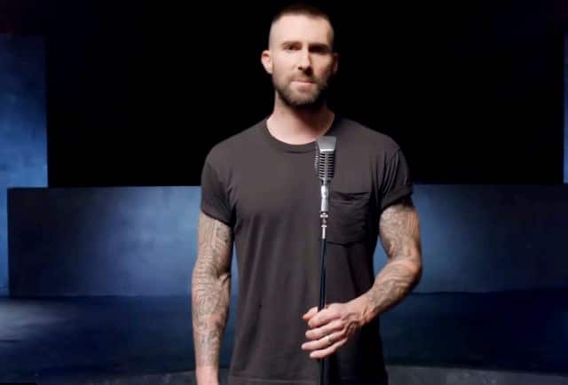 Adam Levine Girls Like You Video