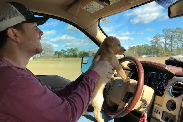 Scotty McCreery and Driving Dog