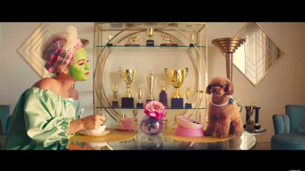 Katy Perry's "Small Talk" Video Stars Her Adorable Pup Nugget (VIDEO)