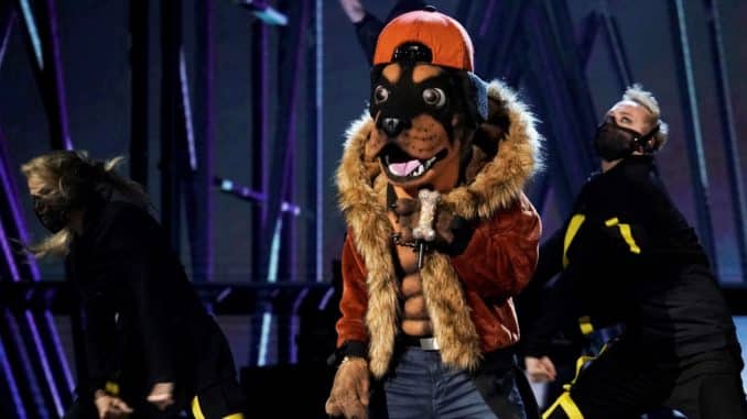 THE MASKED SINGER: The Rottweiler in the all-new “Mask Us Anything” episode of THE MASKED SINGER airing Wednesday, Nov. 6 (8:00-9:00 PM ET/PT) on FOX. © 2019 FOX MEDIA LLC. CR: Michael Becker / FOX.