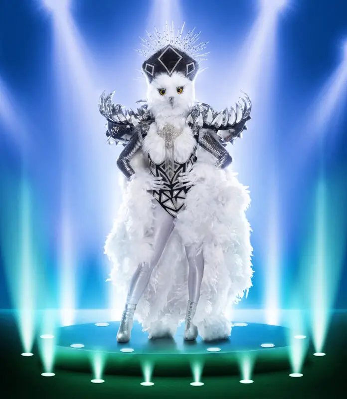 The Masked Singer season 9 - Night Owl