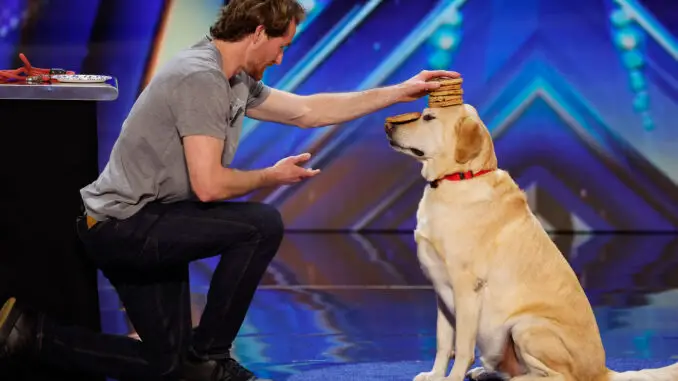 America's Got Talent 2023 - Daragh and Dexter