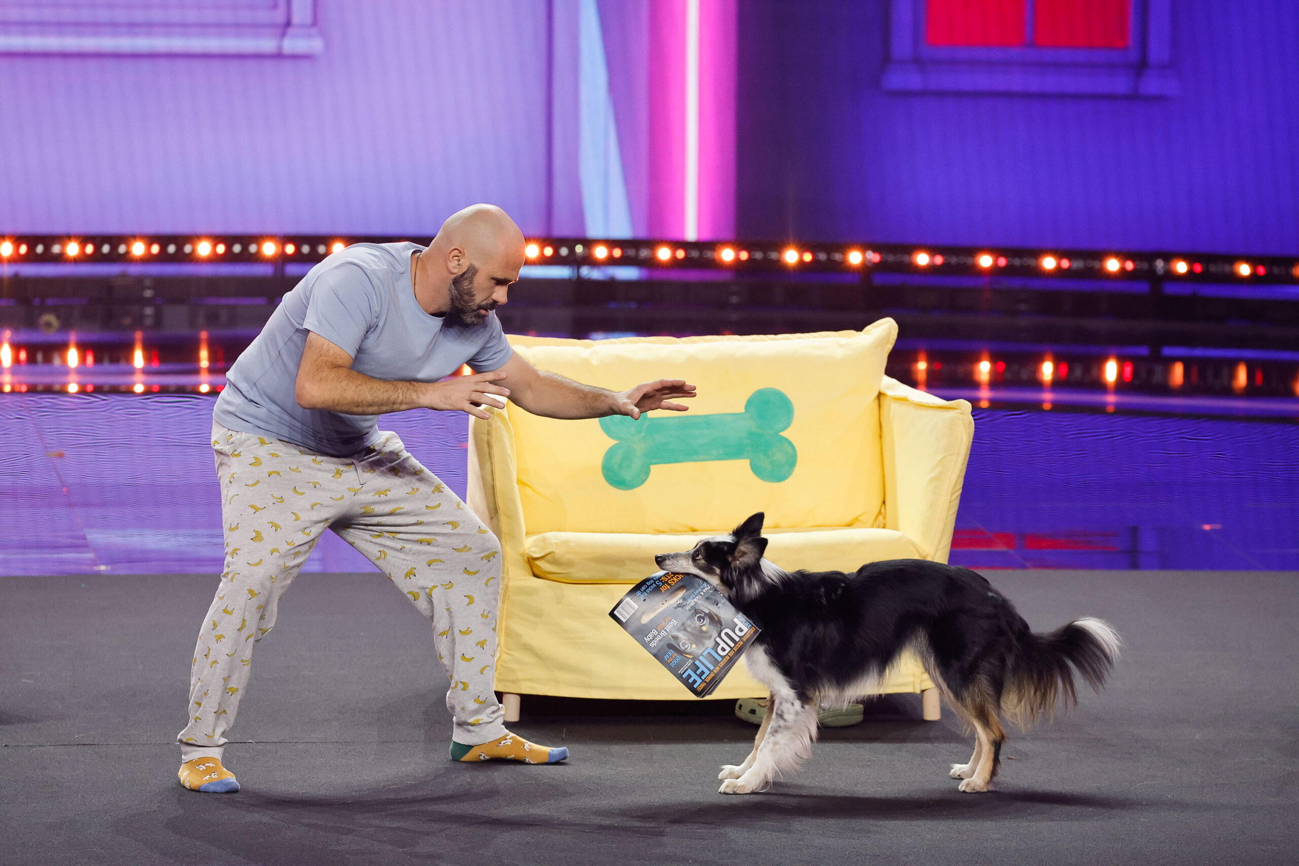 AGT Fantasy League Adrian & Hurricane Adorable Dog Act Defend Title!