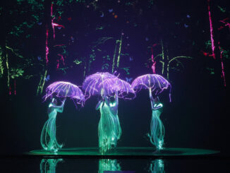 Lightwire - America's Got Talent 2025