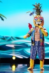 THE MASKED SINGER: Pineapple in the "New Masks on the Block" episode of  THE MASKED SINGER airing Wednesday, Jan. 9 (9:00-10:00 PM ET/PT) on FOX. © 2019 FOX Broadcasting. CR: Michael Becker / FOX.
