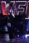 THE MASKED SINGER: Raven in the "New Masks on the Block" episode of  THE MASKED SINGER airing Wednesday, Jan. 9 (9:00-10:00 PM ET/PT) on FOX. © 2019 FOX Broadcasting. CR: Michael Becker / FOX.