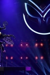 THE MASKED SINGER: Bee in the “All Together Now” episode of THE MASKED SINGER airing Wednesday, Feb. 13 (9:00-10:00 PM ET/PT) on FOX. © 2019 FOX Broadcasting. Cr: Michael Becker / FOX.