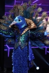 THE MASKED SINGER: Peacock in the "Mask On Face Off" series premiere of THE MASKED SINGER airing Wednesday, Jan 2 (9:00-10:00 PM ET/PT) on FOX. © 2019 FOX Broadcasting.  CR: Michael Becker / FOX.